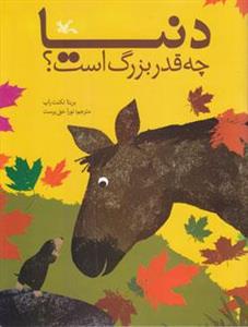 دنیا چه قدر بزرگ است ؟