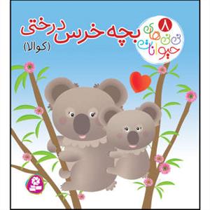 نی نی های حیوانات 8 - بچه خرس درختی 