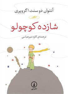 شازده کوچولو *نی