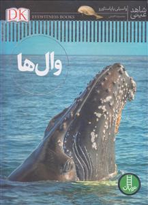 شاهد عینی - وال ها