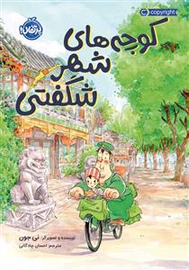 کوچه های شهر شگفتی