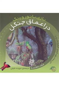 بازی با نور و رنگ - در اعماق جنگل