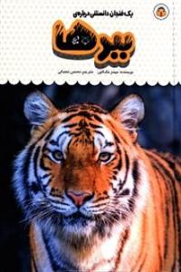 یک فنجان دانستنی درباره‌ی ببرها