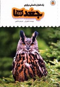 یک فنجان دانستنی درباره‌ی جغدها