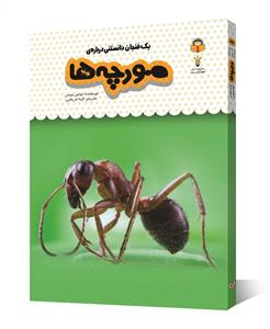 یک فنجان دانستنی درباره‌ی مورچه‌ها