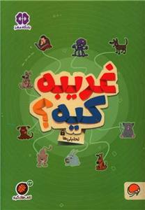 گردو 23 - غریبه کیه؟