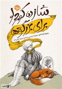 شازده کوچولو برای بزرگ تر ها