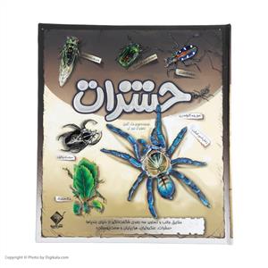 حشرات - حقایق جالب و تصاویر سه‌بعدی شگفت‌انگیز