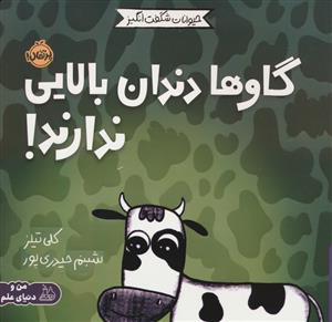 حیوانات شگفت انگیز - گاوها دندان بالایی ندارند!