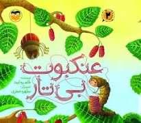 عنکبوت بی تار