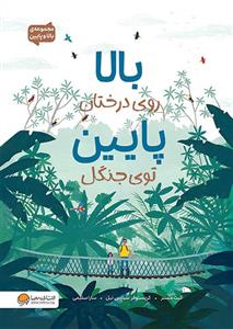 بالا روی درختان پایین توی جنگل