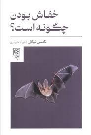 خفاش بودن چگونه است؟