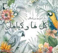 رنگ آمیزی بزرگسال - گل ها و گیاهان