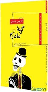 پاناروما 9 - گربه مادرم