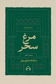 مرغ سحر