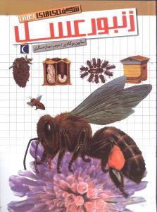شگفتی های جهان - زنبور عسل