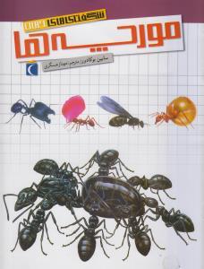 شگفتی های جهان - مورچه ها