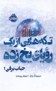 تکه هایی از یک رویای یخ زده - حباب برفی 1