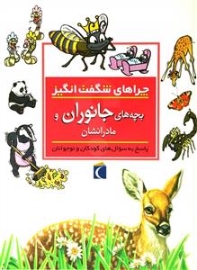 چراهای شگفت انگیز - بچه های جانوران و مادرانشان