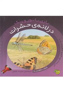 بازی با نور و رنگ - در لانه ی حشرات